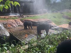 -海南热带野生动植物园