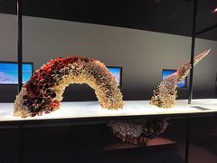 -上海虹桥中心爱琴海亚朵S酒店