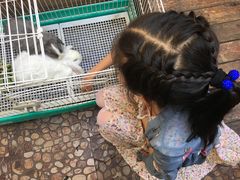 -大象厨房(重庆道店)