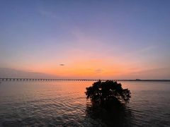 -宝安西湾红树林湿地公园
