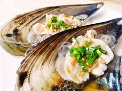 珍珠贝-海岛渔村大酒店(云霄路店)