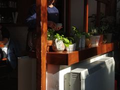 -铃木食堂(帽儿胡同店)