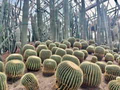 -南山植物园