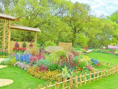 -上海共青森林公园