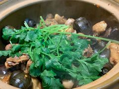 -食爺炭炉鸡煲·烧烤