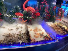 -千家粗粮王(MOMOPARK店)