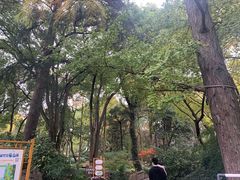 -汇龙潭