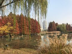 -白塘生态植物园