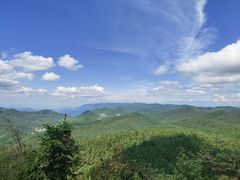 -武陵山森林公园