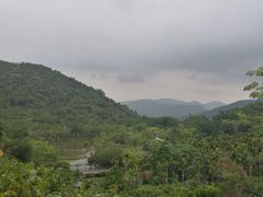 -呀诺达热带雨林
