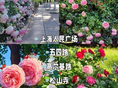 -关你鬼室大型密室逃脱(佛山创意园店)