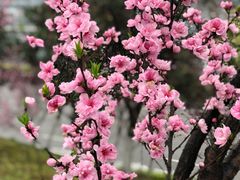 -重庆彩云湖湿地公园