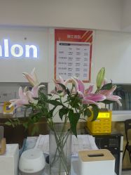 -雅仕 HAIR SALON 美发沙龙