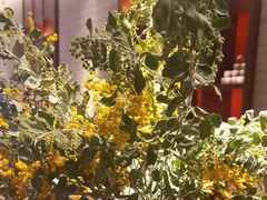 -王府茶楼茶宴·创意菜(朝阳公园店)