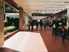 -香港大学