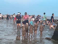 -南汇嘴观海公园