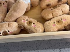 -魔方城市书房(中街益田店)