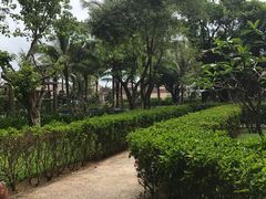 -岘港皇冠假日酒店