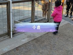 -前小桔亲子创意农场·草莓采摘·露营烧烤