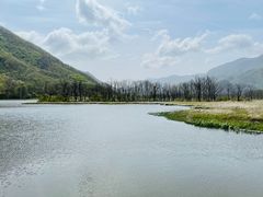 -大九湖