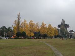 -青城道汤池