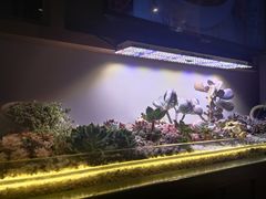 -街角等你.大连海鲜烧烤(西安路店)