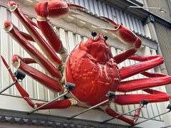 -蟹道乐(道顿堀本店)