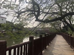 -伦教678文化街