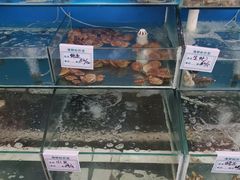 -睿柏云酒店-餐厅