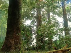 -同里国家湿地公园