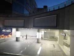 -大王基(地铁站)