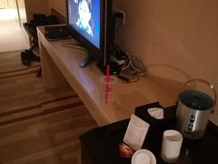 -电谷雅阁国际大酒店
