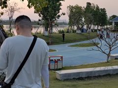 -鹤之洲湿地公园