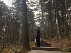 -五营红松林海景区