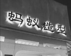 点击看大图 -蚂蚁造型沙龙