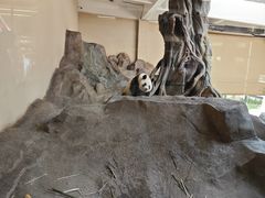 -宁波野生动物园