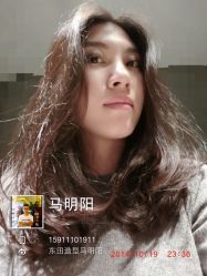 马明阳作品集-東田造型