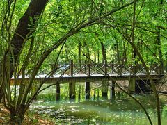 -溱湖国家湿地公园