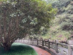 -宁波五龙潭景区