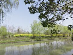-广富林郊野公园