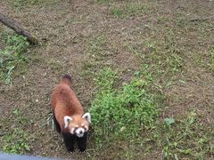 -沈阳森林动物园