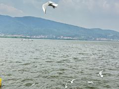 -昆明老街