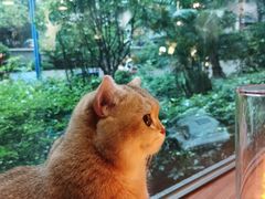 -咖法森林·咖啡  酒吧(天河店)