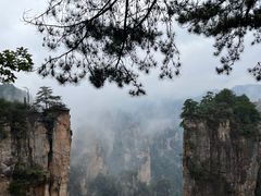 -张家界天门山国家森林公园