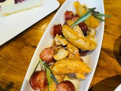 -百好乐宠物友好餐厅(朝外大街店)