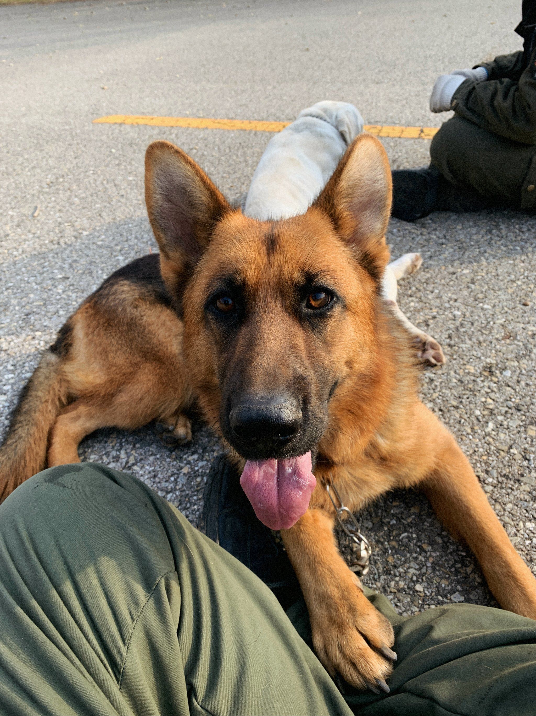 希望你一切安好