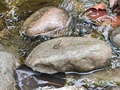 -幽岚山·童话森林