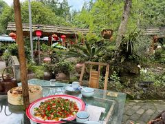 -青城甲(青城山店)