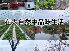 -洪湖家庭农场·团建·露营·会议