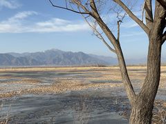 -野鸭湖国家湿地公园